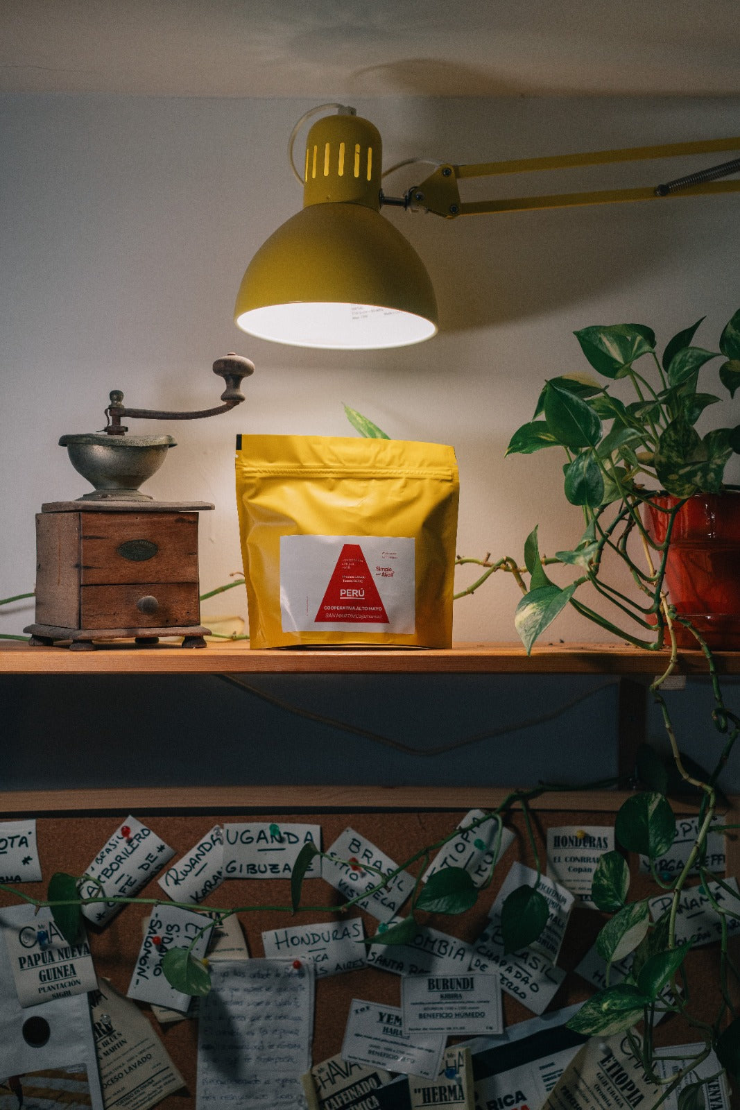 BRASIL MARINA BOTTREL