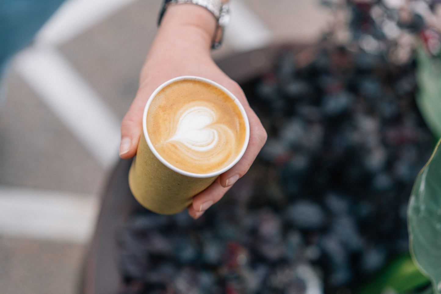 COSTA RICA MONTE ALTO