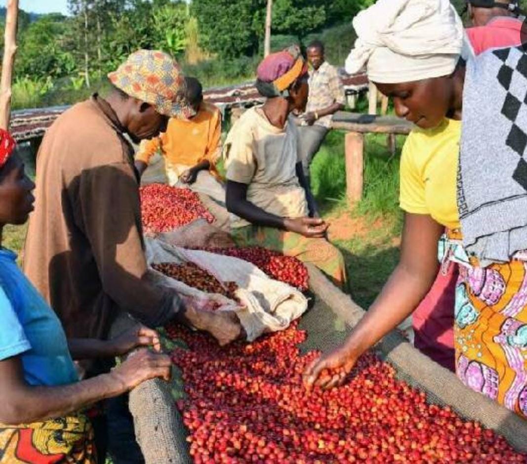 REPUBLICA DOMINICANA