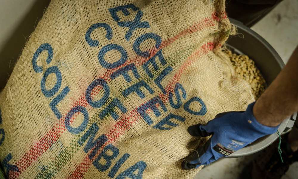 EXÓTICO DEL MES COLOMBIA PAPAYO NATURAL