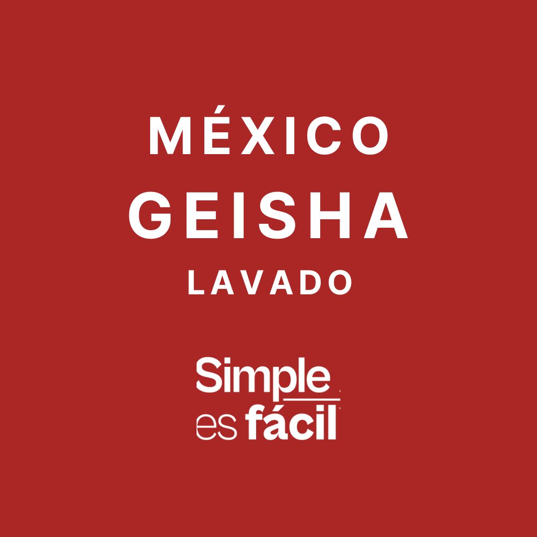MEXICO "GEISHA" TRINCHERAS
