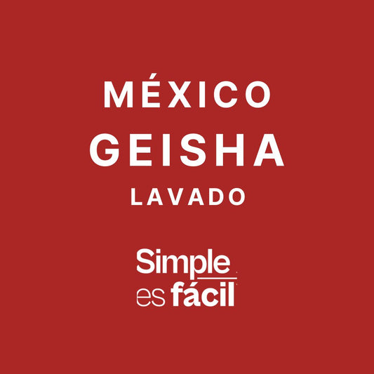 MEXICO "GEISHA" TRINCHERAS